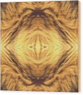 Lion's Eye Wood Print