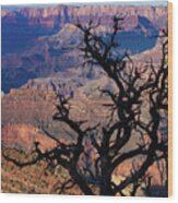 Lipan Overlook Grand Canyon 1 Wood Print