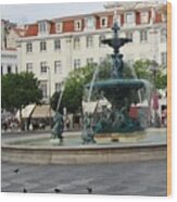 Lisbon Water Fountain Portugal Wood Print