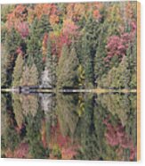 Little Dummer Pond Panoramic Wood Print