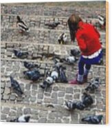 Little Girl Feeding Ducks And Pigeons Wood Print