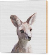 Little Kangaroo Wood Print