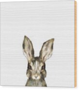 Little Rabbit Wood Print