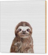 Little Sloth Wood Print