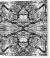 Live Oak Kaleidoscope, Black And White Wood Print