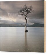 Loch Lomond Lone Tree Wood Print