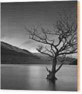 Loch Tree Wood Print