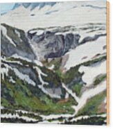 Logan Pass Wood Print