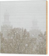 Logan Temple In Snow Wood Print
