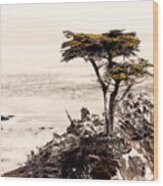 Lone Cypress At Sunset Wood Print