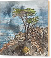 Lone Cypress In Monterey California Wood Print