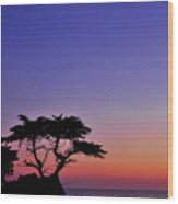 Lone Cypress Tree At Pebble Beach Wood Print