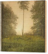 Lone Fog Tree In The Meadow Wood Print