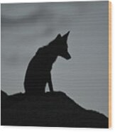 Lone Fox Wood Print