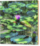 Lone Lily Wood Print