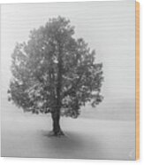Lone Snow Tree On Long Island, New York Wood Print