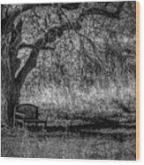 Lonely Bench Wood Print