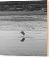 Lonely Heron Wood Print