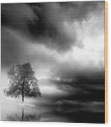 Lonely Tree And Dramatic Sky - Black And White Wood Print