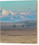 Longs Peak In Colorado Seen From The Plains Wood Print