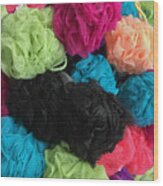 Loofah Colorful Wood Print