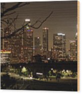 Los Angeles Skyline from Echo Park Photograph by Helaine Cummins - Fine Art  America