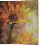Lost Yellow Blossoms 3885 Ldp_2 Wood Print