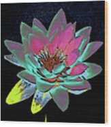 Lotus 2 Wood Print