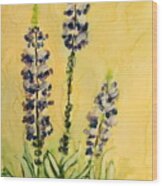 Lovely Lupines Wood Print