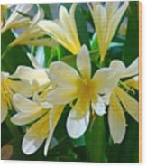 Lovely White And Yellow #flowers Wood Print