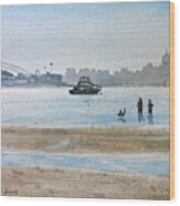 Low Tide At Rose Bay Wood Print