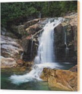 Lower Falls And Gold Creek Wood Print