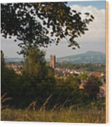 Ludlow Village From The Meadow Wood Print