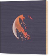 Lunar Eclispe 2018 Wood Print