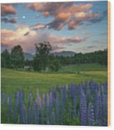 Lupines Under The Moon Wood Print