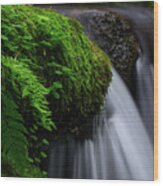 Lush Cascade Wood Print