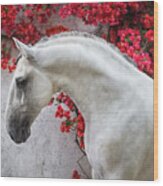 Lusitano Portrait In Red Flowers Wood Print