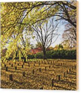 Lynchburg Old City Cemetery In Autumn Wood Print