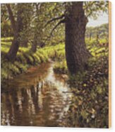 Lyon Valley Creek Wood Print