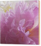 M Shades Of Pink Flowers Collection No. P72 Wood Print