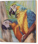 Macaws In The Sunshine Wood Print