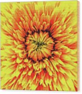 Macro Flower Petals Wood Print