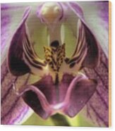 Macro Orchid Wood Print