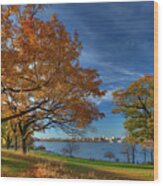 Madison Across Lake Monona In Autumn Splendor From Olin Park Wood Print