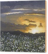 Madonna Lily Valley Wood Print