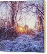 Magic Of Winter Wood Print