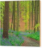 Magical Forest Wood Print