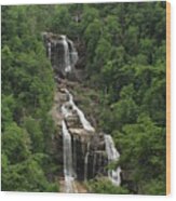 Magnificent Whitewater Falls Wood Print