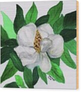 Magnolia I Wood Print