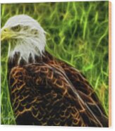 Majestic Eagle Wood Print